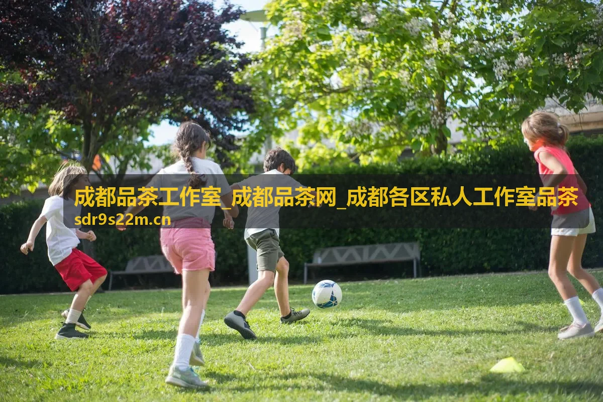 成都品茶工作室茶艺师冲泡过程